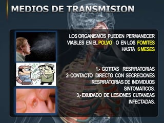 LOSORGANISMOS PUEDEN PERMANECER
VIABLES ENELPOLVO O ENLOS FOMITES
HASTA 6MESES
1.- GOTITAS RESPIRATORIAS
2-CONTACTO DIRECTO CON SECRECIONES
RESPIRATORIASDE INDIVIDUOS
SINTOMATICOS.
3,-EXUDADO DE LESIONES CUTANEAS
INFECTADAS.
 