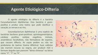 Agente Etiológico-Difteria
O agente etiológico da difteria é a bactéria
Corynebacterium diphtheriae. Esta bactéria é gram-
positiva e produz uma toxina que pode danificar o
coração, os nervos e os rins.
Corynebacterium diphtheriae é uma espécie de
bactérias bacilares gram-positivas, quimiorganotrópicas,
catalase positivo, oxidase negativos, imóveis,
anaeróbicos facultativos, não formadoras de esporos,
que causam difteria. As cepas podem ou não ser
produtoras de toxinas (toxina diftérica). Suas colônias
são marrom escuras ou negras, por produzir H2S e
formam ângulos que parecem "letras chinesas" ou letras
como "V", "Y" ou "X".
 