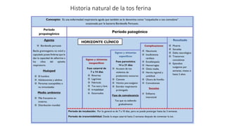 Historia natural de la tos ferina
 