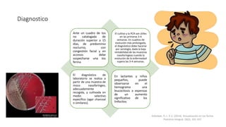 Diagnostico
Ante un cuadro de tos
no catalogada de
duración superior a 15
días, de predominio
nocturno, con
congestión facial y en
accesos debe
sospecharse una tos
ferina.
El cultivo y la PCR son útiles
en las primeras 3-4
semanas. En cuadros de
evolución más prolongada,
el diagnóstico debe hacerse
por serología, dada la baja
rentabilidad de las muestras
nasofaríngeas cuando la
evolución de la enfermedad
supera las 3-4 semanas.
El diagnóstico de
laboratorio se realiza a
partir de una muestra de
moco nasofaríngeo,
adecuadamente
recogida, y cultivada en
medio selectivo
específico (agar charcoal
o similares).
En lactantes y niños
pequeños, puede
observarse en el
hemograma una
leucocitosis a expensas
de un aumento
significativo de los
linfocitos
Arbolave, D. L. V. E. (2014). Actualización en tos ferina.
Pediatria Integral, 18(2), 101-107.
 