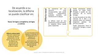 De acuerdo a su
localización, la difteria
se puede clasificar en:
Nasal, faríngea y amigdalina, laríngea
y cutánea
Difteria
nasal
Se caracteriza por una
secreción nasal
mucopurulenta, que puede
hacerse sanguinolenta,
pudiendo formarse una
membrana en el tabique.
La difteria nasal sin otra
localización es poco frecuente,
la sospecha clínica puede
pasar inadvertida
Difteria
laríngea
Puede presentarse aislada
(puede no haber lesión
faríngea) o puede ser una
extensión de la forma
faríngea.
Es más frecuente en los niños
menores de 4 años y se
presenta como una ronquera
progresiva gradual, tos
perruna y estridor.
Puede evolucionar hacia la
obstrucción faríngea y causar
la muerte
Carvajal, A. Difteria. ENFERMEDADES EMERGENTES Y REEMERGENTES, 88.
Difteria cutánea (piel):
infección cutánea leve
causada por bacilos
productores o no de
toxina, las otras formas
de difteria son
causadas por los
organismos que
producen toxina.
Es más frecuente en los
trópicos y a menudo se
ha relacionado con la
pobreza y el
hacinamiento.
Las personas con
difteria cutánea pueden
ser una fuente de
infección para los
demás.
 