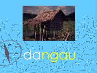 da ngau 