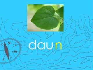 dau n 