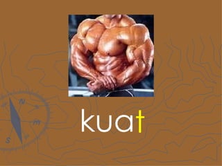 kua t 
