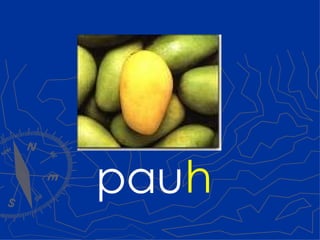 pau h 