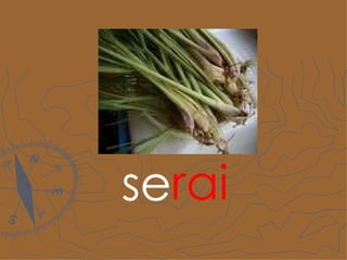 se rai 