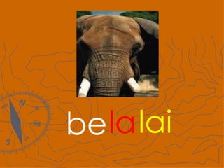 be la lai 