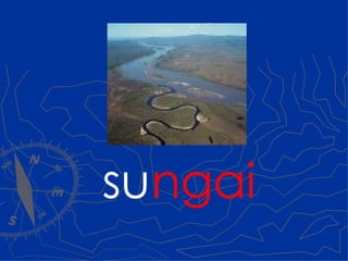 su ngai 