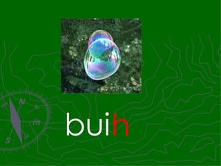 bui h 