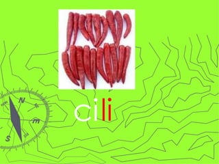 ci li 