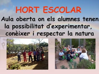HORT ESCOLAR
Aula oberta on els alumnes tenen
la possibilitat d’experimentar,
conèixer i respectar la natura
 