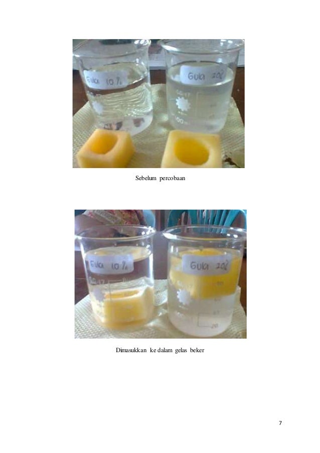 Laporan Praktikum Difusi Dan Osmosis Pada Kentang