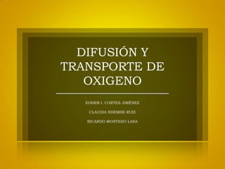 DIFUSIÓN Y TRANSPORTE DE OXIGENO  EDHER I. CORTES JIMÉNEZ  CLAUDIA XHEMBE RUIZ  RICARDO MONTERO LARA  