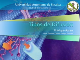 Universidad Autónoma de Sinaloa
Facultad de Medicina

Fisiología Básica
Univ. Fonseca Quiroz Kathya Denisse

 