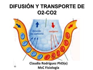 DIFUSIÓN Y TRANSPORTE DE
O2-CO2
Claudia Rodríguez PhD(e)
MsC Fisiología
 