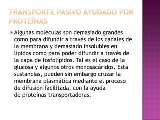  Algunas moléculas son demasiado grandes
 como para difundir a través de los canales de
 la membrana y demasiado insolubles en
 lípidos como para poder difundir a través de
 la capa de fosfolípidos. Tal es el caso de la
 glucosa y algunos otros monosacáridos. Esta
 sustancias, pueden sin embargo cruzar la
 membrana plasmática mediante el proceso
 de difusión facilitada, con la ayuda
 de proteínas transportadoras.
 
