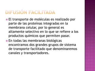  El transporte de moléculas es realizado por
  parte de las proteínas integradas en la
  membrana celular, por lo general es
  altamente selectivo en lo que se refiere a los
  productos químicos que permiten pasar.
 En todas las membranas biológicas
  encontramos dos grandes grupos de sistema
  de transporte facilitado que denominaremos
  canales y transportadores.
 