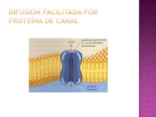 Difusión facilitada