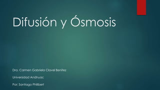 Difusión y Ósmosis
Dra. Carmen Gabriela Clavel Benítez
Universidad Anáhuac
Por: Santiago Philibert
 