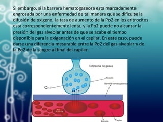 Si embargo, si la barrera hematogaseosa esta marcadamente
engrosada por una enfermedad de tal manera que se dificulte la
difusión de oxigeno, la tasa de aumento de la Po2 en los eritrocitos
esta correspondientemente lenta, y la Po2 puede no alcanzar la
presión del gas alveolar antes de que se acabe el tiempo
disponible para la oxigenación en el capilar. En este caso, puede
darse una diferencia mesurable entre la Po2 del gas alveolar y de
la Po2 de la sangre al final del capilar.
 