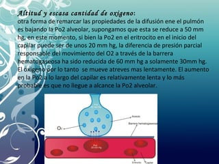 Altitud y escasa cantidad de oxigeno:
otra forma de remarcar las propiedades de la difusión ene el pulmón
es bajando la Po2 alveolar, supongamos que esta se reduce a 50 mm
hg, en este momento, si bien la Po2 en el eritrocito en el inicio del
capilar puede ser de unos 20 mm hg, la diferencia de presión parcial
responsable del movimiento del O2 a través de la barrera
hematogaseosa ha sido reducida de 60 mm hg a solamente 30mm hg.
El oxigeno por lo tanto se mueve atreves mas lentamente. El aumento
en la Po2 a lo largo del capilar es relativamente lenta y lo más
probable es que no llegue a alcance la Po2 alveolar.
 