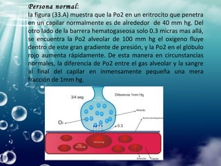 Persona normal:
la figura (33.A) muestra que la Po2 en un eritrocito que penetra
en un capilar normalmente es de alrededor de 40 mm hg. Del
otro lado de la barrera hematogaseosa solo 0.3 micras mas allá,
se encuentra la Po2 alveolar de 100 mm hg el oxigeno fluye
dentro de este gran gradiente de presión, y la Po2 en el glóbulo
rojo aumenta rápidamente. De esta manera en circunstancias
normales, la diferencia de Po2 entre el gas alveolar y la sangre
al final del capilar en inmensamente pequeña una mera
fracción de 1mm hg.
 