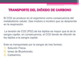 El CO2 se produce en el organismo como consecuencia del
metabolismo celular. Gas inodoro e incoloro que se desprende
en la respiración.
La tensión de CO2 (P02) de los tejidos es mayor que la de la
sangre capilar, en consecuencia, el CO2 tiende de difundir de
los tejidos a la sangre capilar.
Este es transportado por la sangre de tres formas:
1) Solución Física.
2) Iones de Bicarbonato.
3) Carbamino.
 