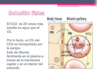 El CO2 es 20 veces más
soluble en agua que el
O2.
Por lo tanto, un 5% del
CO2 es transportado por
la sangre.
Este de difunde
fácilmente en el plasma a
través de la membrana
capilar y en el interior del
eritrocito.
 