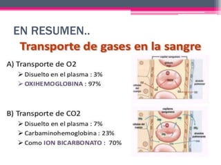 EN RESUMEN..
 