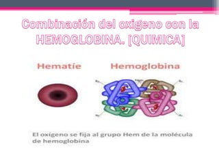 Difusion de la membrana respiratoria