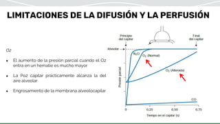 LIMITACIONES DE LA DIFUSIÓN Y LA PERFUSIÓN
O2
● El aumento de la presión parcial cuando el O2
entra en un hematíe es mucho mayor
● La Po2 capilar prácticamente alcanza la del
aire alveolar
● Engrosamiento de la membrana alveolocapilar
 