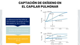 CAPTACIÓN DE OXÍGENO EN
EL CAPILAR PULMONAR
Saturn is a gas giant
Saturn
El flujo sanguíneo aumenta
durante el esfuerzo intenso
La diferencia de Po2 entre el
aire alveolar y la sangre al final
del capilar es de 1 mmHg
Menos tiempo de captación
de O2
 