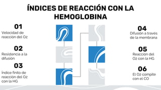 ÍNDICES DE REACCIÓN CON LA
HEMOGLOBINA
Resistencia a la
difusión
Difusión a través
de la membrana
Reacción del
O2 con la HG
Velocidad de
reacción del O2
Índice finito de
reacción del O2
con la HG
El O2 compite
con el CO
01
02
03
04
05
06
 