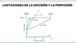 LIMITACIONES DE LA DIFUSIÓN Y LA PERFUSIÓN
 