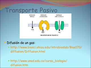 Transporte Pasivo Difusión de un gas: http :// www.biosci.ohiou.edu / introbioslab /Bios170/ diffusion / Diffusion.html   http :// www.unad.edu.co / curso_biologia / difusion.htm 