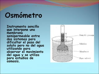 Osmómetro I nstrumento sencillo que interpone una membrana semipermeable entre dos sistemas para dificultar el paso del soluto pero no del agua utilizando para observar el movimiento del agua y se utiliza para estudios de osmosis. 
