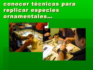 conocer ttééccnniiccaass ppaarraa 
rreepplliiccaarr eessppeecciieess 
oorrnnaammeennttaalleess…… 
 