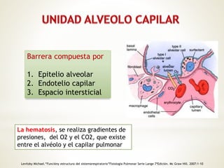 Barrera compuesta por 
1. Epitelio alveolar 
2. Endotelio capilar 
3. Espacio intersticial 
La hematosis, se realiza gradientes de 
presiones, del O2 y el CO2, que existe 
entre el alvéolo y el capilar pulmonar 
Levitzky Michael.“Funcióny estructura del sistemarespiratorio”Fisiología Pulmonar Serie Lange 7ªEdición. Mc Graw Hill. 2007:1-10 
 