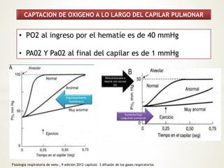 CAPTACION DE OXIGENO A LO LARGO DEL CAPILAR PULMONAR 
• PO2 al ingreso por el hematíe es de 40 mmHg 
• PA02 Y Pa02 al final del capilar es de 1 mmHg 
Fisiología respiratoria de wets , 9 edición 2012 capitulo 3 difusión de los gases respiratorios 
 