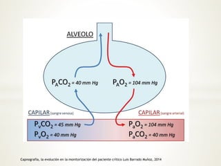 Capnografía, la evolución en la monitorización del paciente crítico Luis Barrado Muñoz, 2014 
 