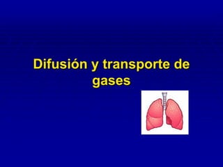 Difusión y transporte de gases 