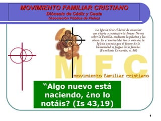MOVIMIENTO FAMILIAR CRISTIANO Diócesis de Cádiz y Ceuta (Asociación Pública de Fieles) “ Algo nuevo está naciendo, ¿no lo notáis? (Is 43,19) 
