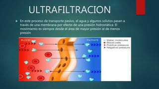 Difusion de sustancias a travez de menbranas | PPTX