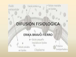 DIFUSION FISIOLOGICA
ERIKA BRAVO FIERRO
 