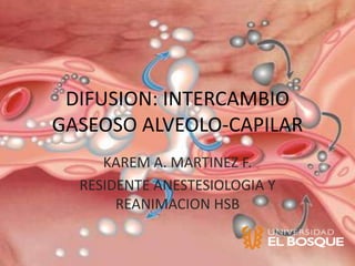 DIFUSION: INTERCAMBIO
GASEOSO ALVEOLO-CAPILAR
     KAREM A. MARTINEZ F.
  RESIDENTE ANESTESIOLOGIA Y
       REANIMACION HSB
 