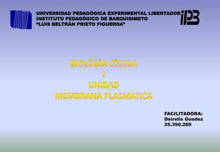 UNIVERSIDAD PEDAGÓGICA EXPERIMENTAL LIBERTADOR
INSTITUTO PEDAGÓGICO DE BARQUISIMETO
“LUIS BELTRÁN PRIETO FIGUEROA”
FACILITADORA:
Deirelis Guedez
25.390.289
 