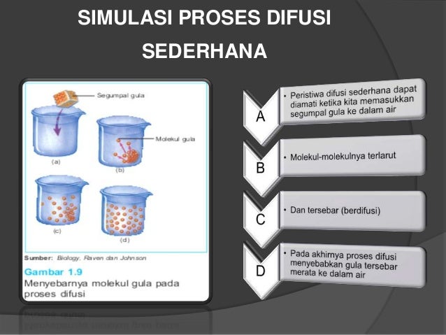 Difusi sel welly andri