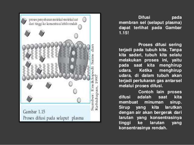 Difusi sel welly andri