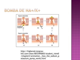 http://highered.mcgraw-
hill.com/sites/0072495855/student_view0
/chapter2/animation__how_the_sodium_p
otassium_pump_works.html
 