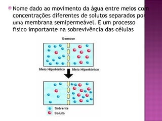  Nome   dado ao movimento da água entre meios com
 concentrações diferentes de solutos separados por
 uma membrana semipermeável. E um processo
 físico importante na sobrevivência das células
 